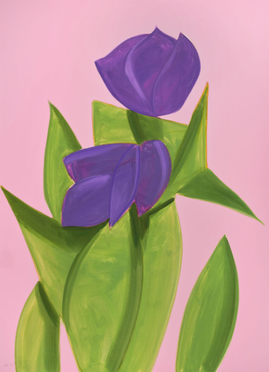 Purple Tulips 2