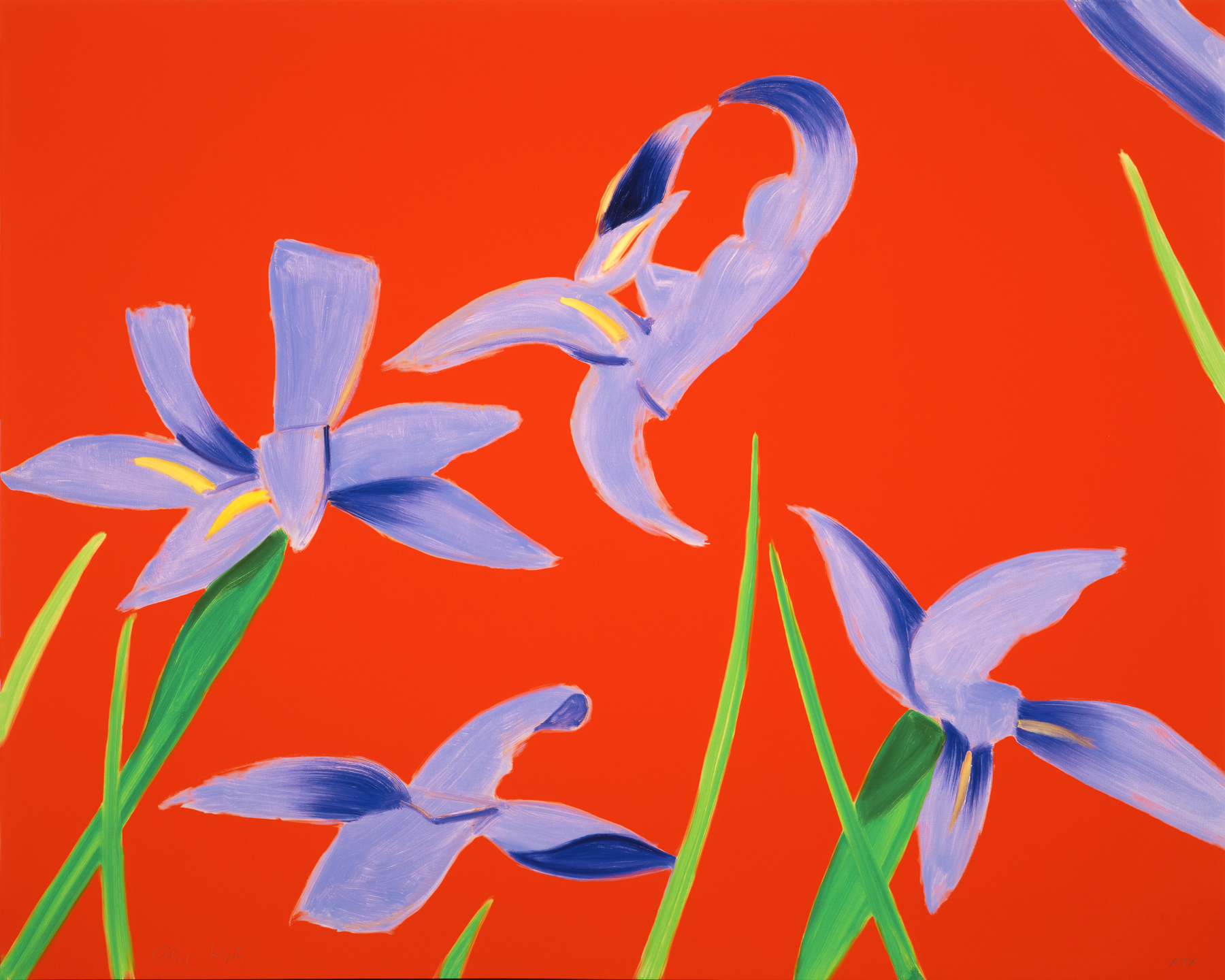 Purple Irises on Red