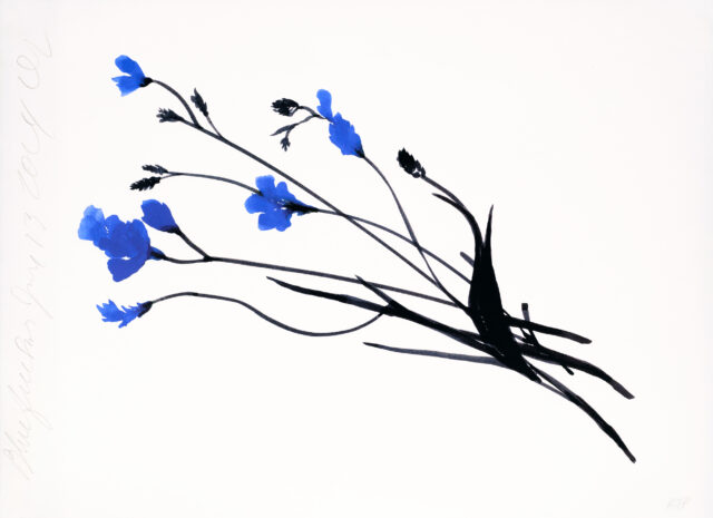 Sultan-Blue-Freesia-June-13-2024-DS_Signed